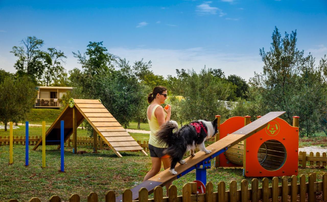 Sunflower Camping Mareda Exterior foto